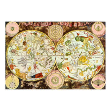 Planisphæri Cœleste: Astrology - Poster print