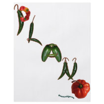 Plano Chili Peppers flyers by chili_state Plano Chili Peppers flyers