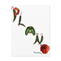 Plano Chili Peppers postcards by chili_state Plano Chili Peppers postcards