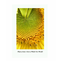 Plant a Seed.  Grow a Whole New World!  T Shirt