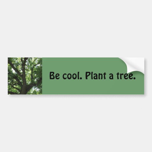 "Plant A Tree" Bumper Sticker Zazzle