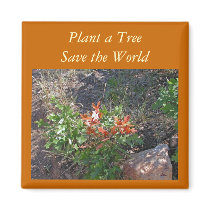 Plant a Tree magnets
