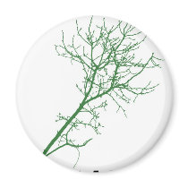 plant a tree magnets