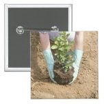 Plant a Tree on Earth Day Pinback Buttons