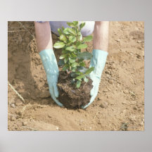 Plant a Tree on Earth Day Print