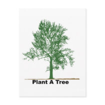 plant a tree postcards by paintingglass plant a tree postcards