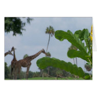 Plant and blue sky with giraffes in the background card