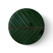 Plant Banana Up Button