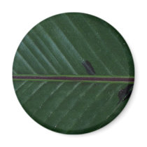 Plant Banana Up Refrigerator Magnet