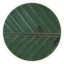Plant Banana Up Round Stickers