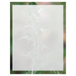 Plant Canada Thistle Letterhead Design