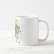 plant cell mugs