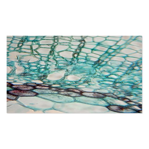 plant cells micrography business card templates