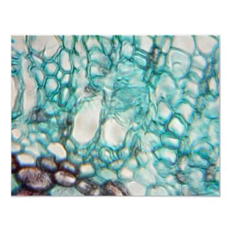 plant cells micrography 4.25x5.5 paper invitation card