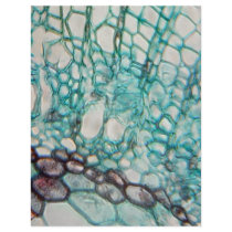 plant cells micrography personalized letterhead