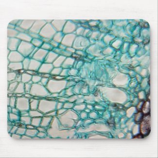 plant cells micrography mouse pad