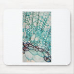 plant cells micrography mousepad