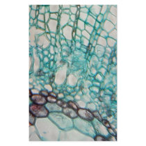 plant cells micrography stationery design