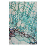plant cells micrography stationery design