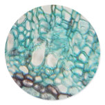 plant cells micrography stickers