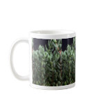Plant Delosperma Coffee Mugs