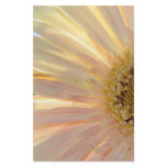 Plant for the Cure Flower Stationery