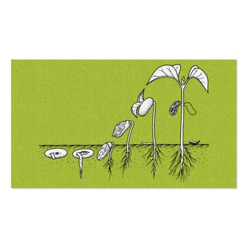 Plant Germination Illustration Business Cards (front side)