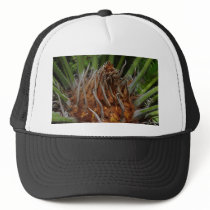Plant Green hats by lifesphere Plant Green hats