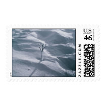 Plant in Sand Postage Stamps