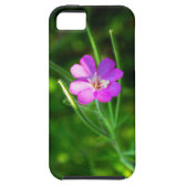 plant iPhone 5 cases