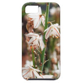 plant iPhone 5 cases