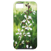 plant iPhone 5 cover