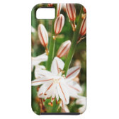 plant iPhone 5 cover