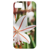 plant iPhone 5 covers