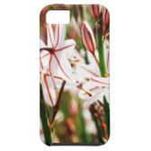 plant iPhone 5 covers