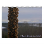 Plant Medicine 2010 Calendar