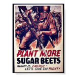 Plant More Sugar Beets