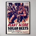 Plant More Sugar Beets Posters