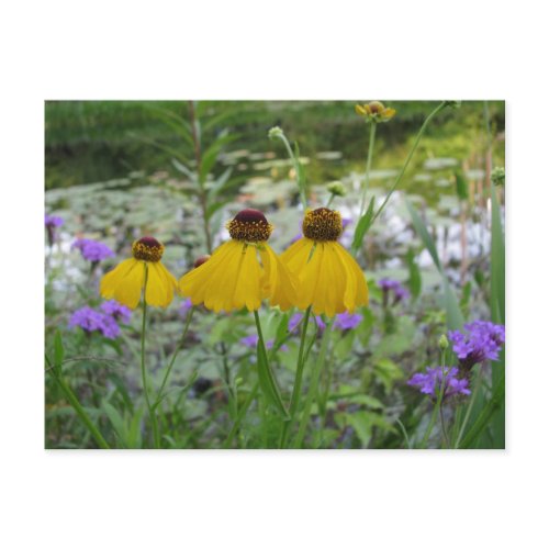 Plant Natives Go Green Verbena postcard