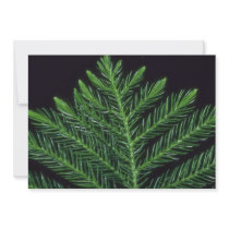 Plant Norfolk Pine Personalized Announcement