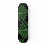 Plant Norfolk Pine Skate Board