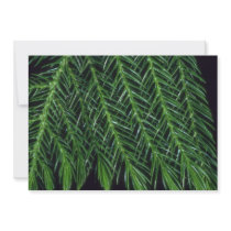 Plant Norfolk Shade Invitations