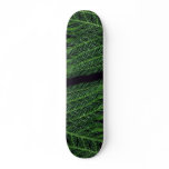 Plant Norfolk Shade Skate Deck