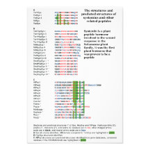 Plant Peptide Hormone Systemin Structure Diagram Personalized Invite