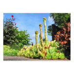Plant Plinths ~ ATC Business Card