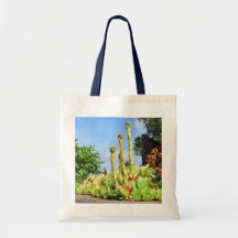 Plant Plinths ~ bag