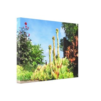 Plant Plinths ~ Canvas zazzle_wrappedcanvas