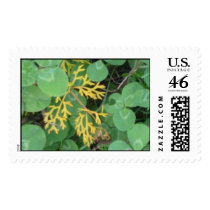 Plant postage by samm9259 Plant postage