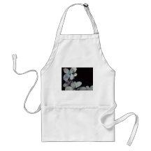 Plant Purple Kalanchoe Aprons