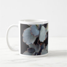 Plant Purple Kalanchoe Coffee Mug